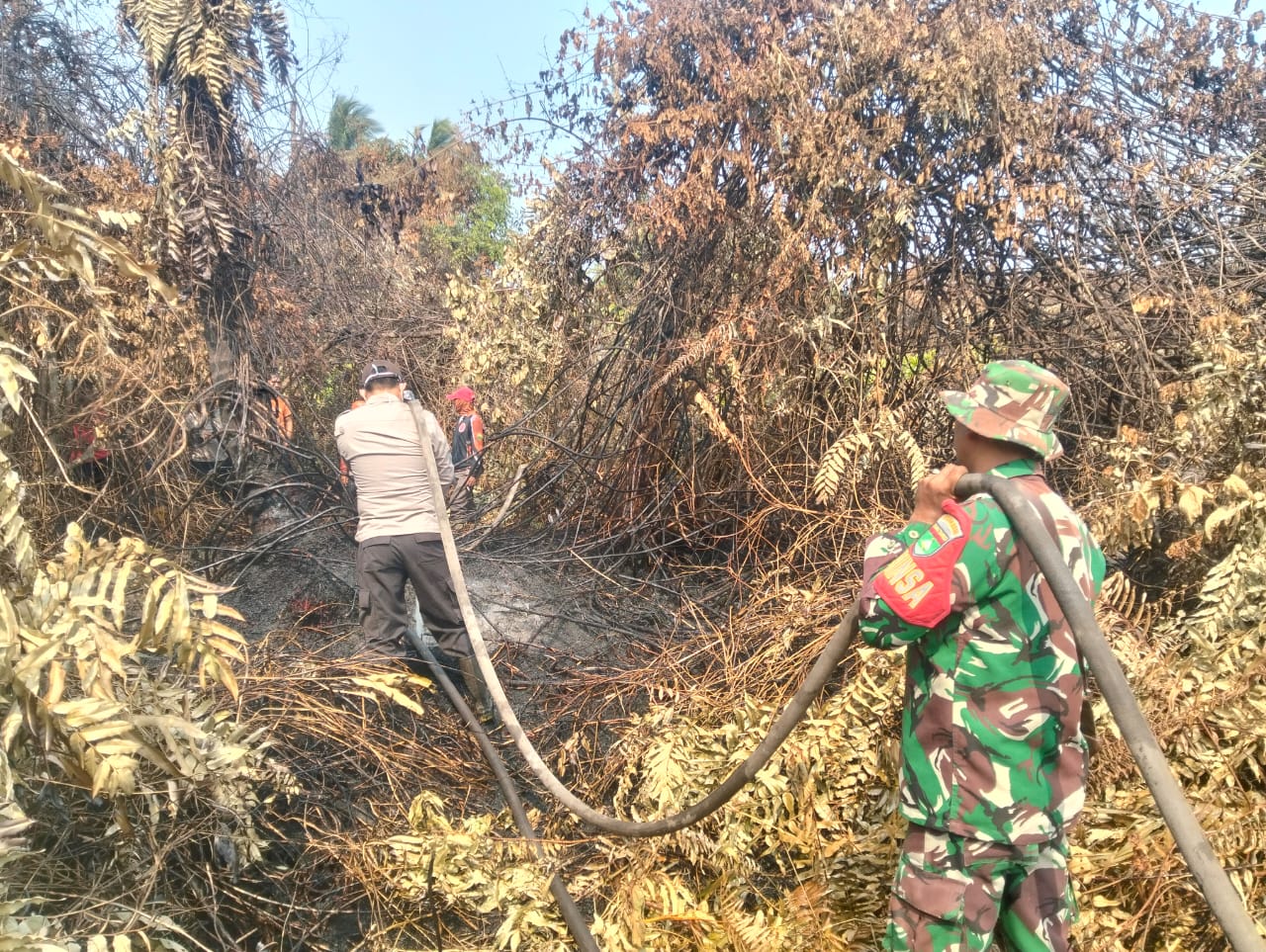 Kodam XIX/Tuanku Tambusai Intensifkan Pendinginan Karhutla di Sungai Beringin